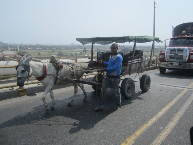 cartagena-donkey-cart.JPG